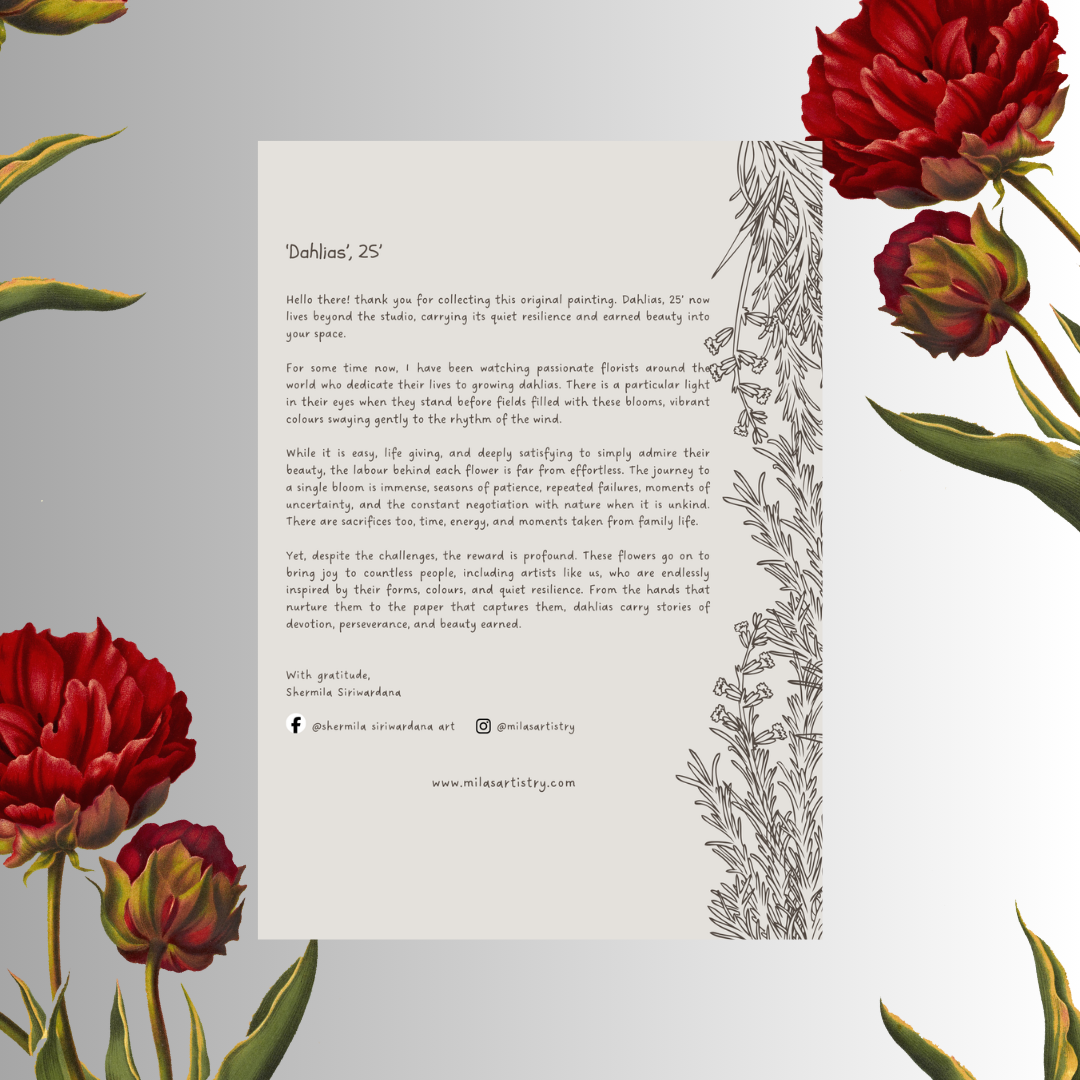 Dahlias