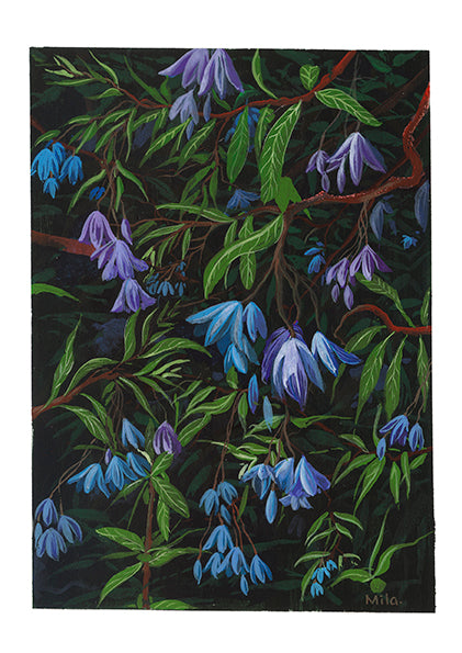 Bluebells