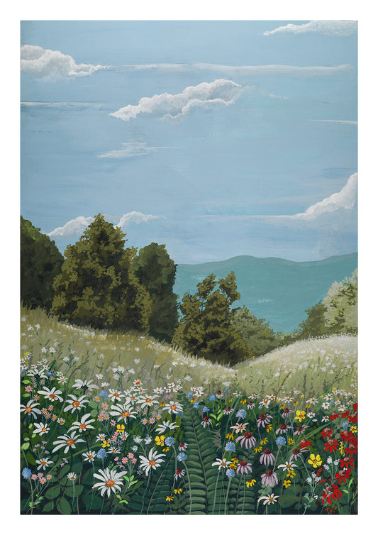 Meadow I