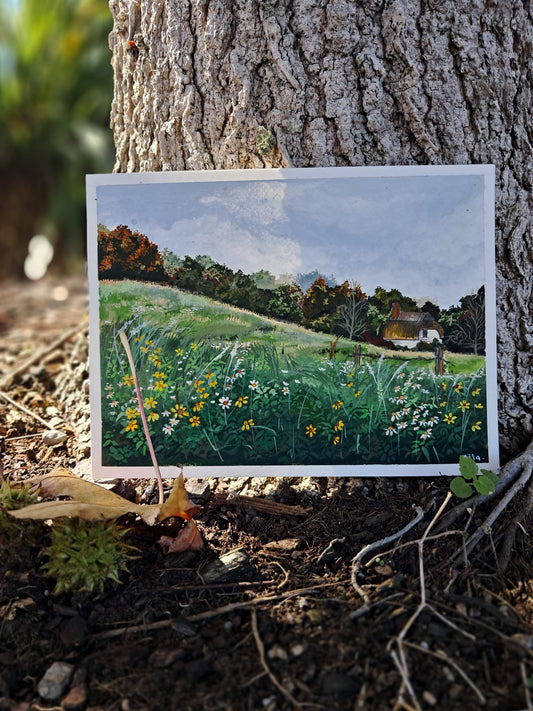 Meadow view